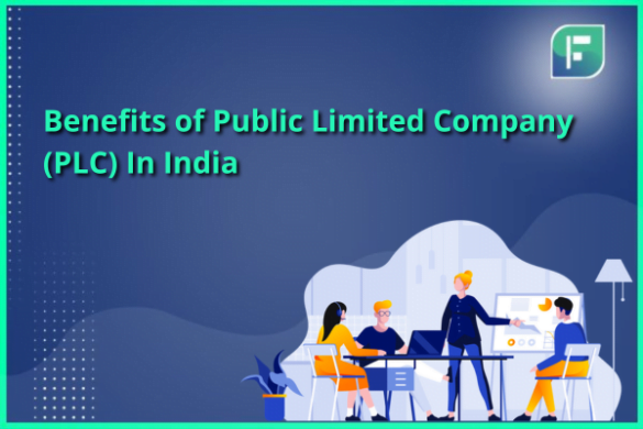 Understanding Benefits of (PLCs) Public Limited Company in India